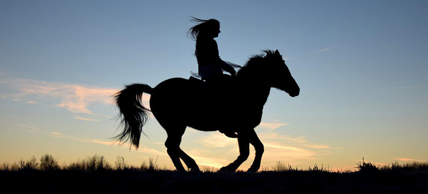 Silhouette von einer Frau, die auf einem Pferd reitet