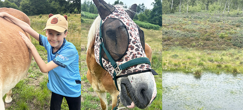 Kind macht mit einem Pferd einen Ausflug zum Moor